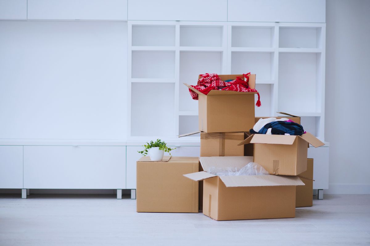 The Ultimate Guide to Finding Top-Rated Moving Services in Denver